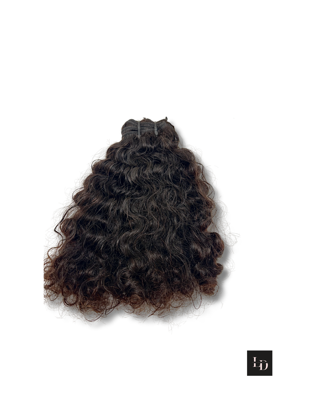 *NEW* Burmese Curly